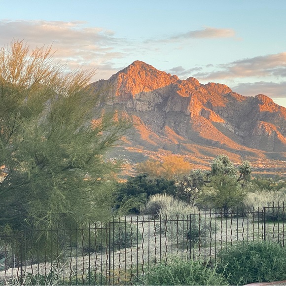 Meet your Posher, Bren - Picture 1 of 1